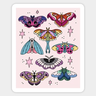 LGBTQ+ moths Sticker